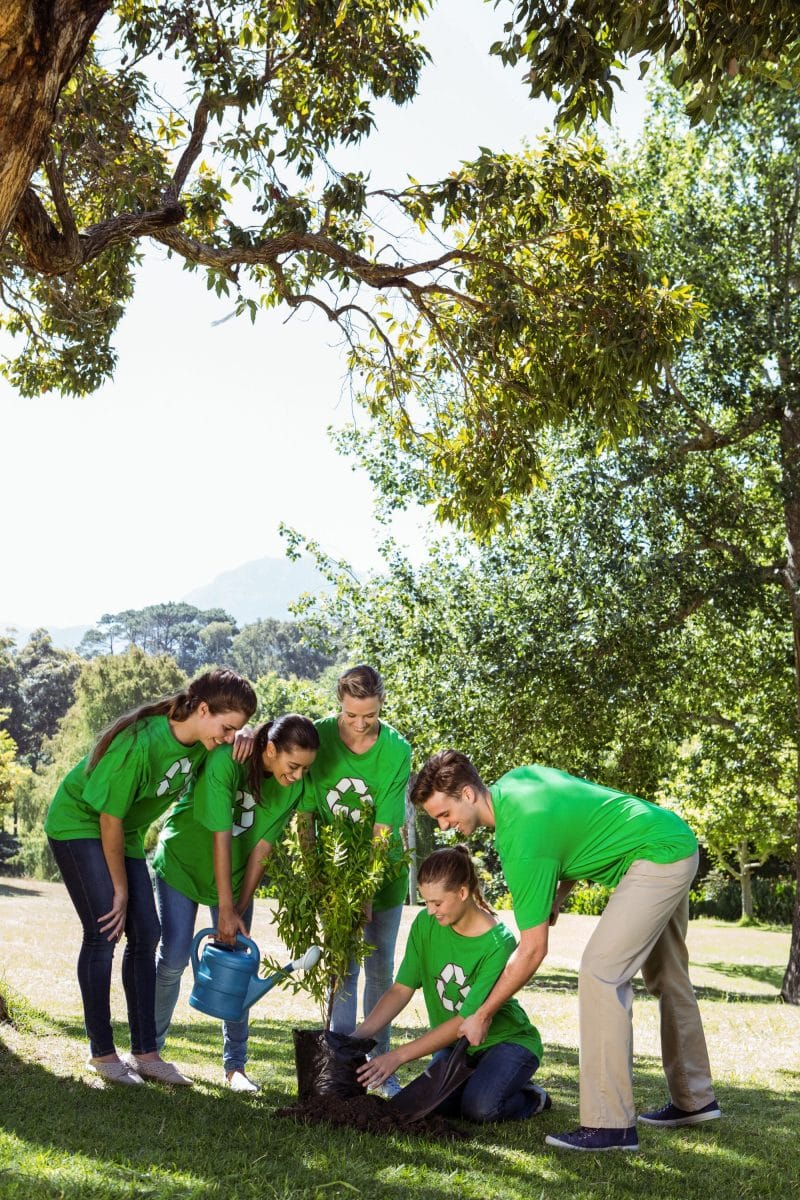 image of Building a Legacy